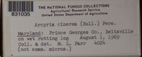 Image Associated With the Occurence